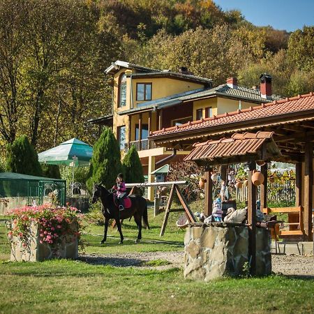 Guest House Alfa Daniel Balkanets  Zewnętrze zdjęcie