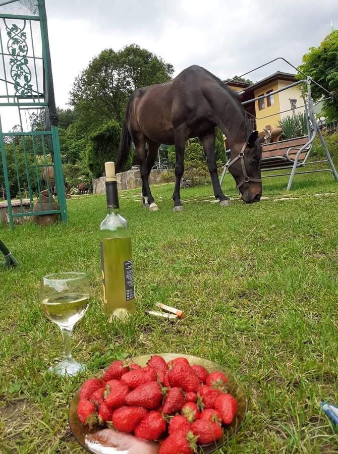 Guest House Alfa Daniel Balkanets  Zewnętrze zdjęcie