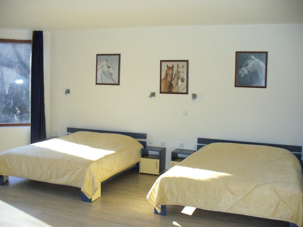 Guest House Alfa Daniel Balkanets  Pokój zdjęcie