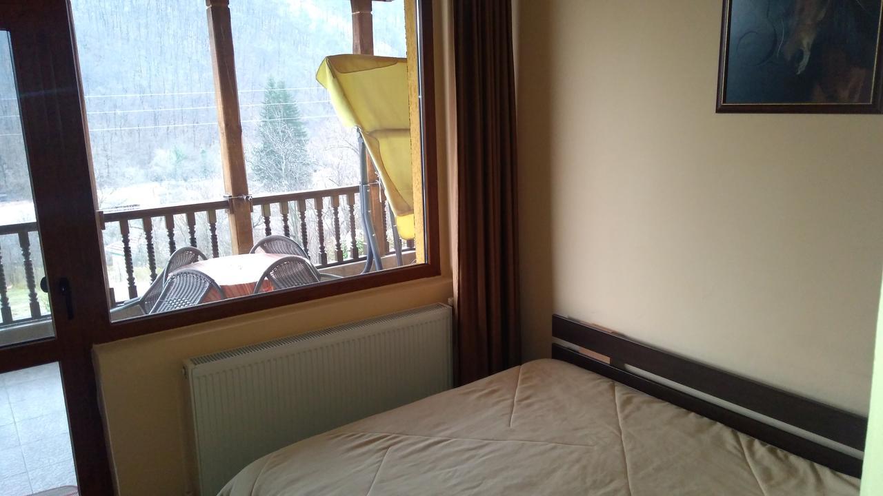 Guest House Alfa Daniel Balkanets  Zewnętrze zdjęcie