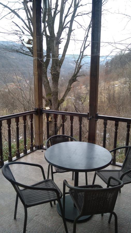 Guest House Alfa Daniel Balkanets  Zewnętrze zdjęcie