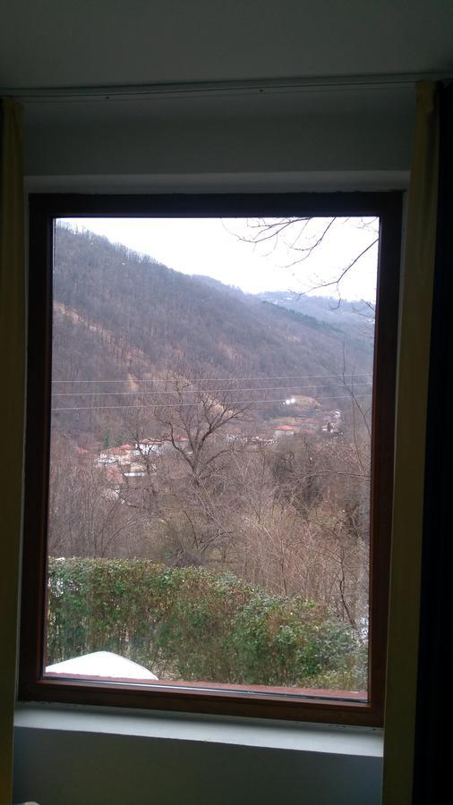 Guest House Alfa Daniel Balkanets  Zewnętrze zdjęcie